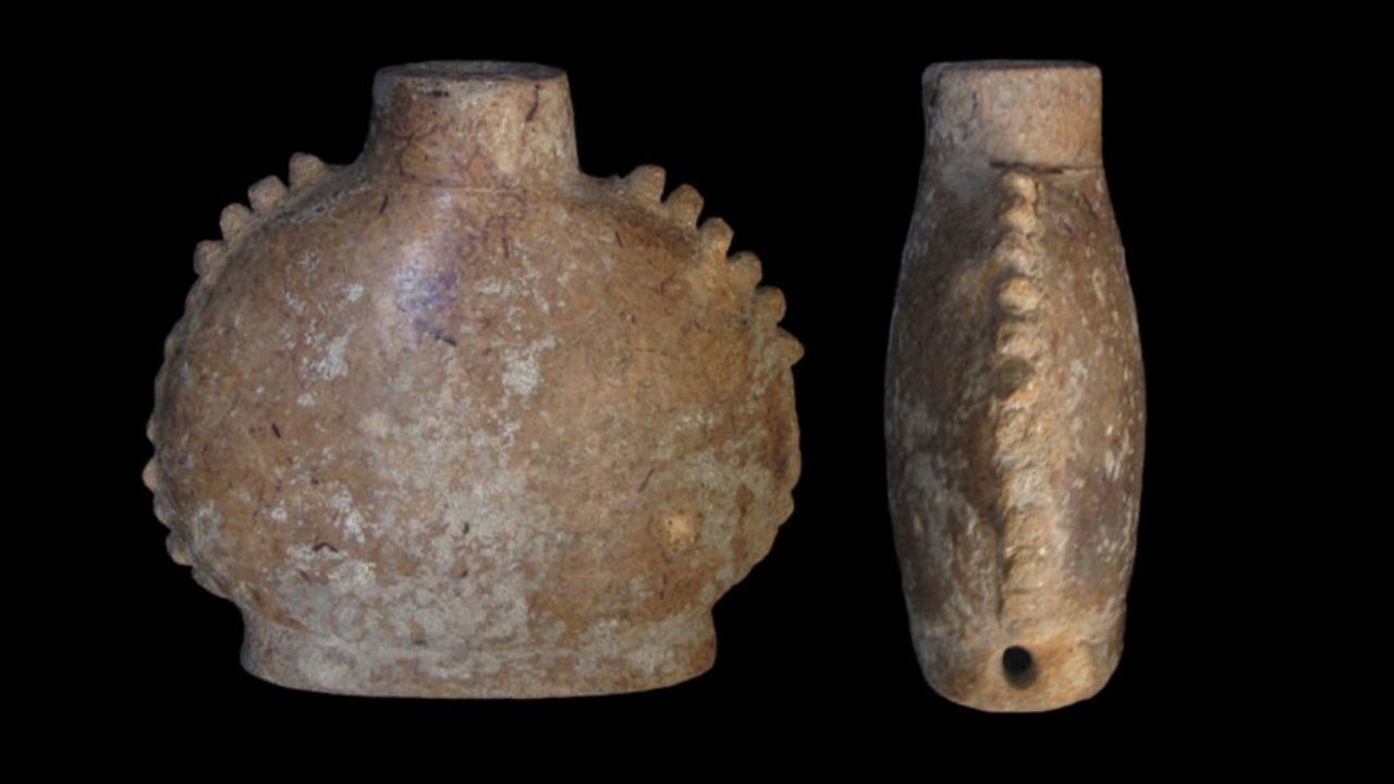 A curiosa erva alucinógena encontrada em uma cerâmica maia