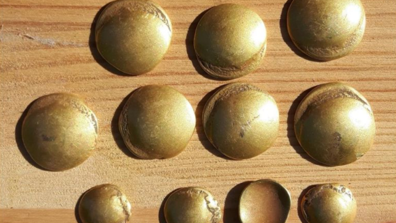 Moedas celtas de ouro, com formato inusitado, são encontradas na Alemanha