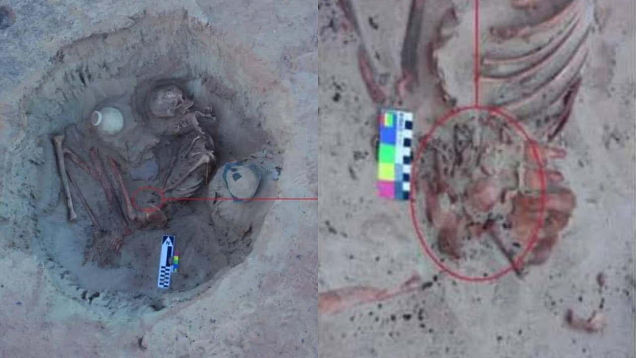 O esqueleto de 3.700 anos do Egito que foi encontrado com um feto