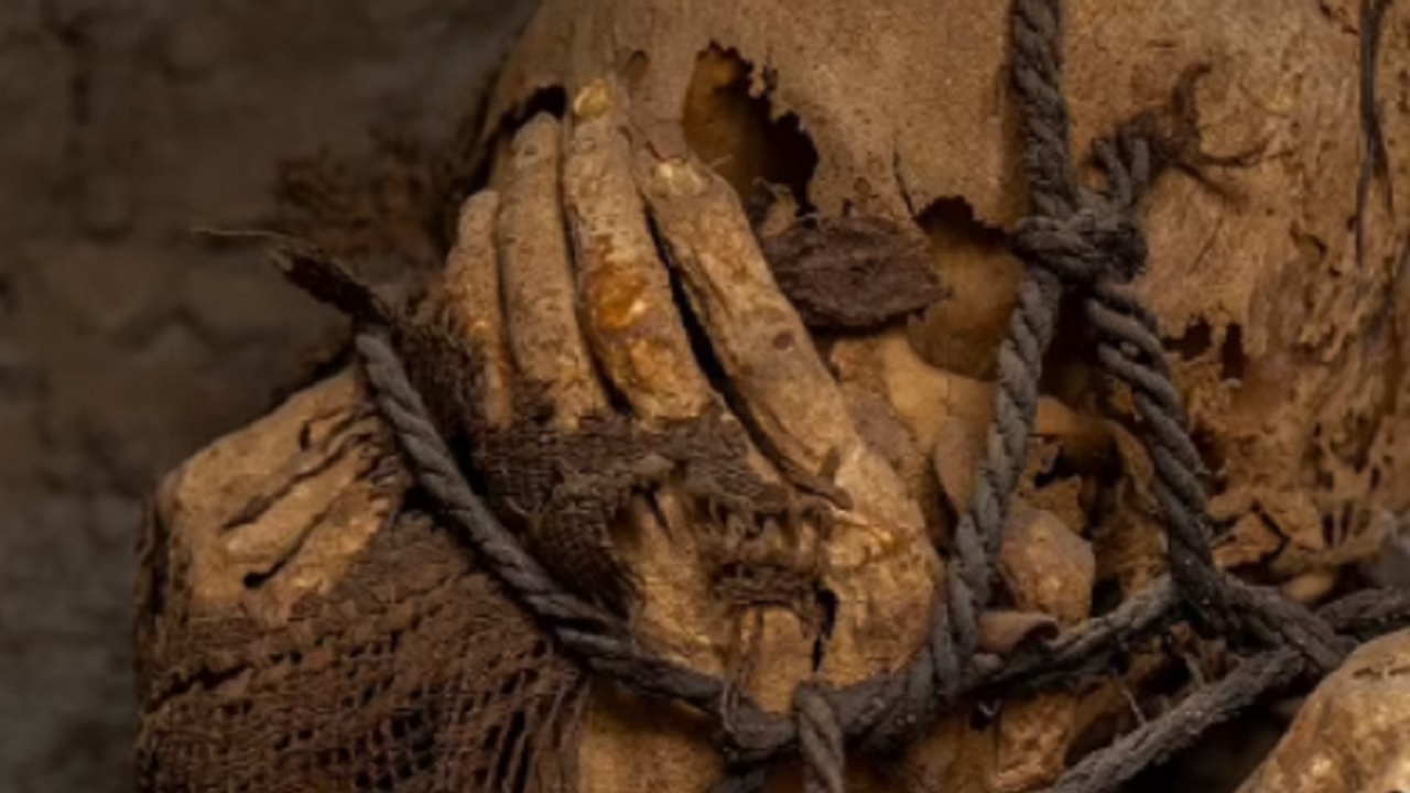 Imagens: A impressionante múmia milenar encontrada amarrada no Peru