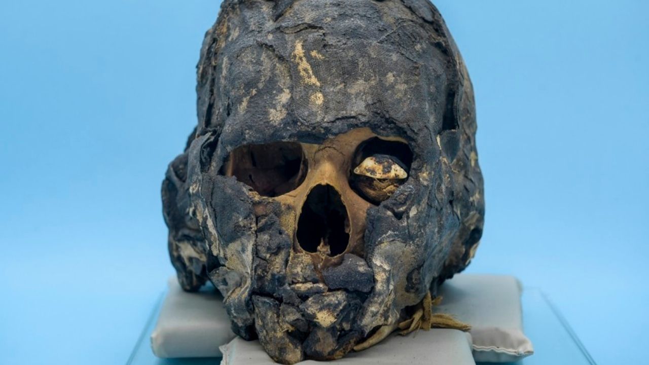 Múmia egípcia encontrada no Brasil ainda tem células intactas