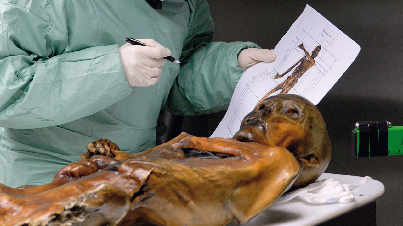 Ötzi: ‘Homem do Gelo’ tinha genes da calvície e tom de pele escuro
