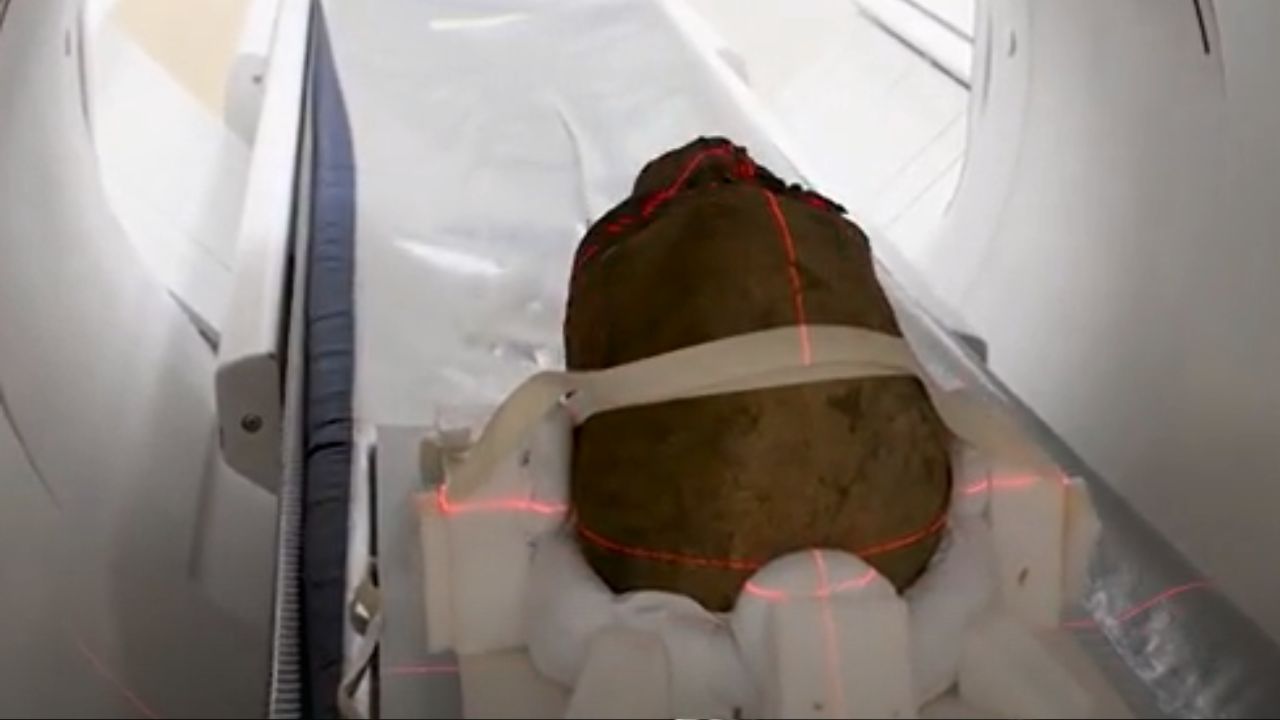 A cabeça de múmia decapitada descoberta em um sótão na Inglaterra