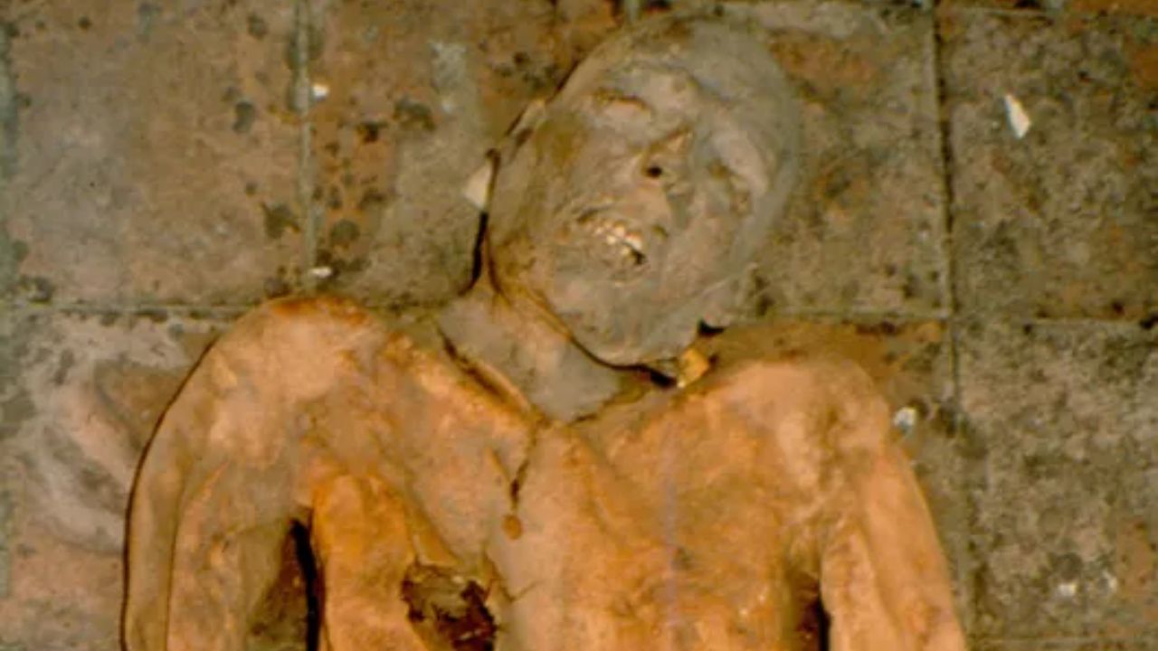 Bactéria encontrada em múmia do século 16 tem genoma reconstruído