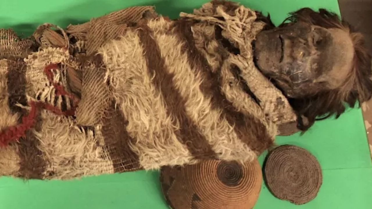 As múmias sul-americanas de 2 mil anos com piolhos