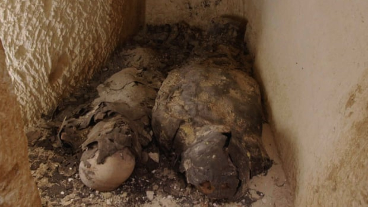 Possíveis pistas do paradeiro de Cleópatra são encontradas em templo