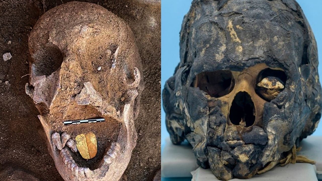 Múmia com língua de ouro e descobertas no Museu do Ipiranga: 5 descobertas fascinantes