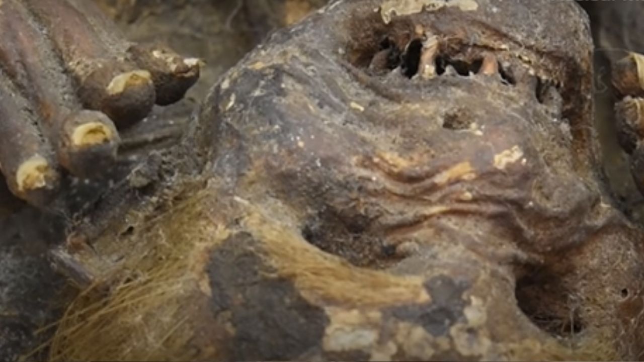 5 curiosidades sobre o mistério da ‘múmia sereia’ do Japão