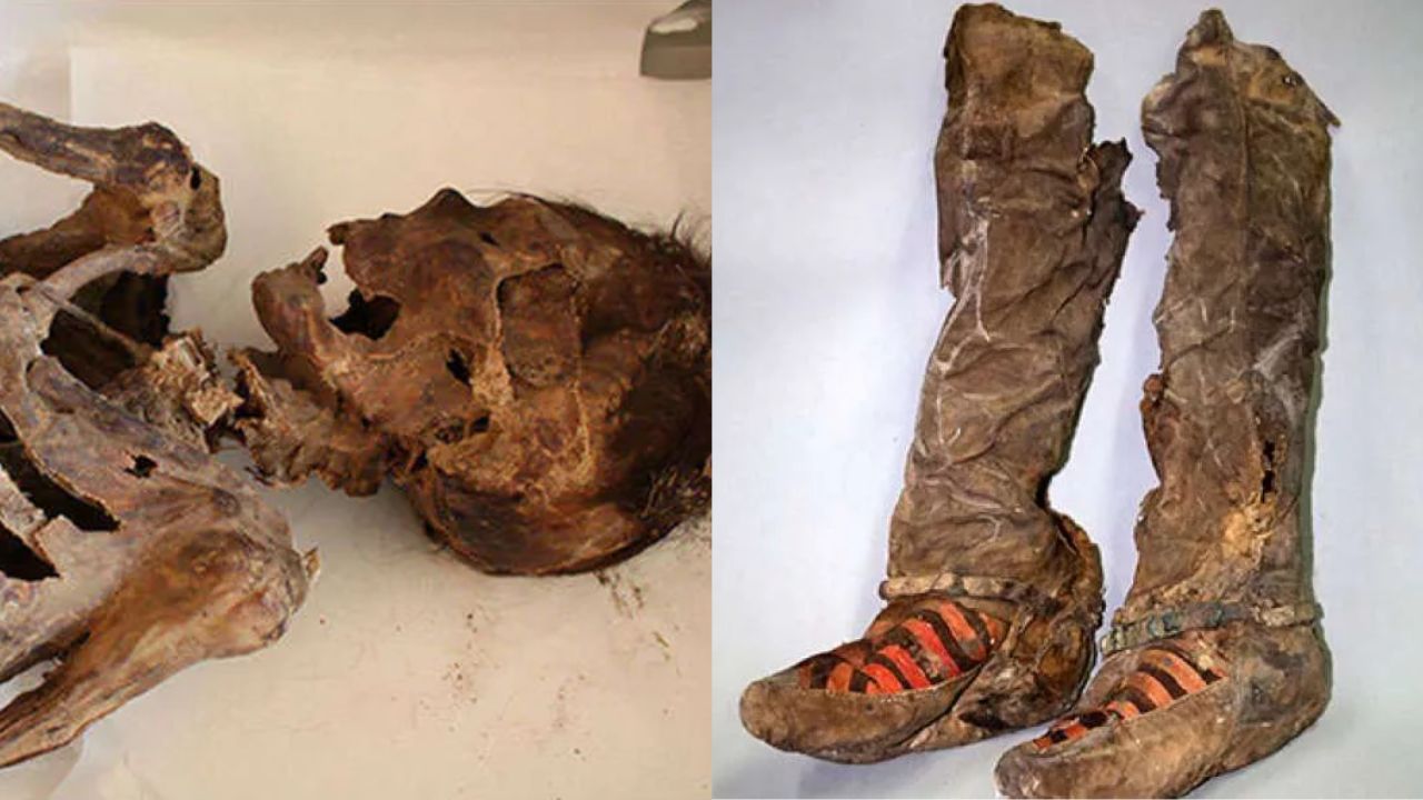 A intrigante múmia medieval da Mongólia que criou a lenda urbana do tênis adidas