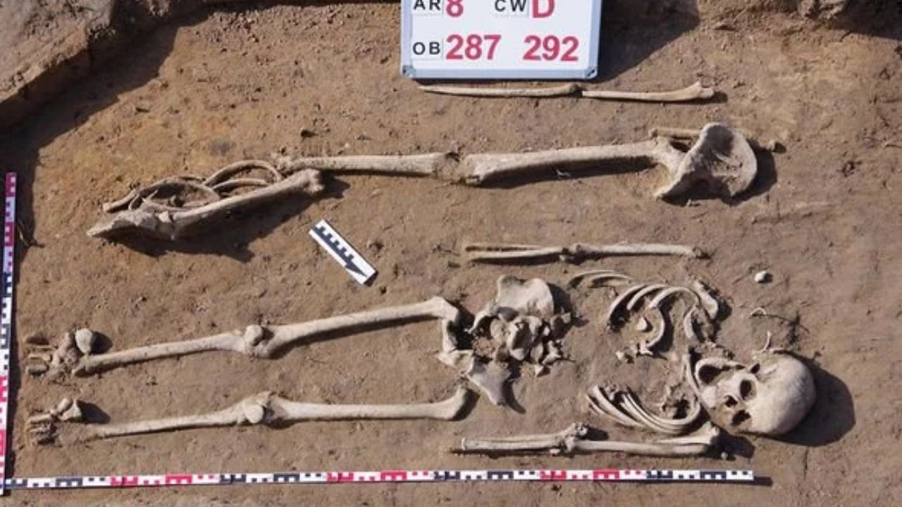 Pesquisadores descobrem 276 esqueletos em cemitério do século 11 na Polônia
