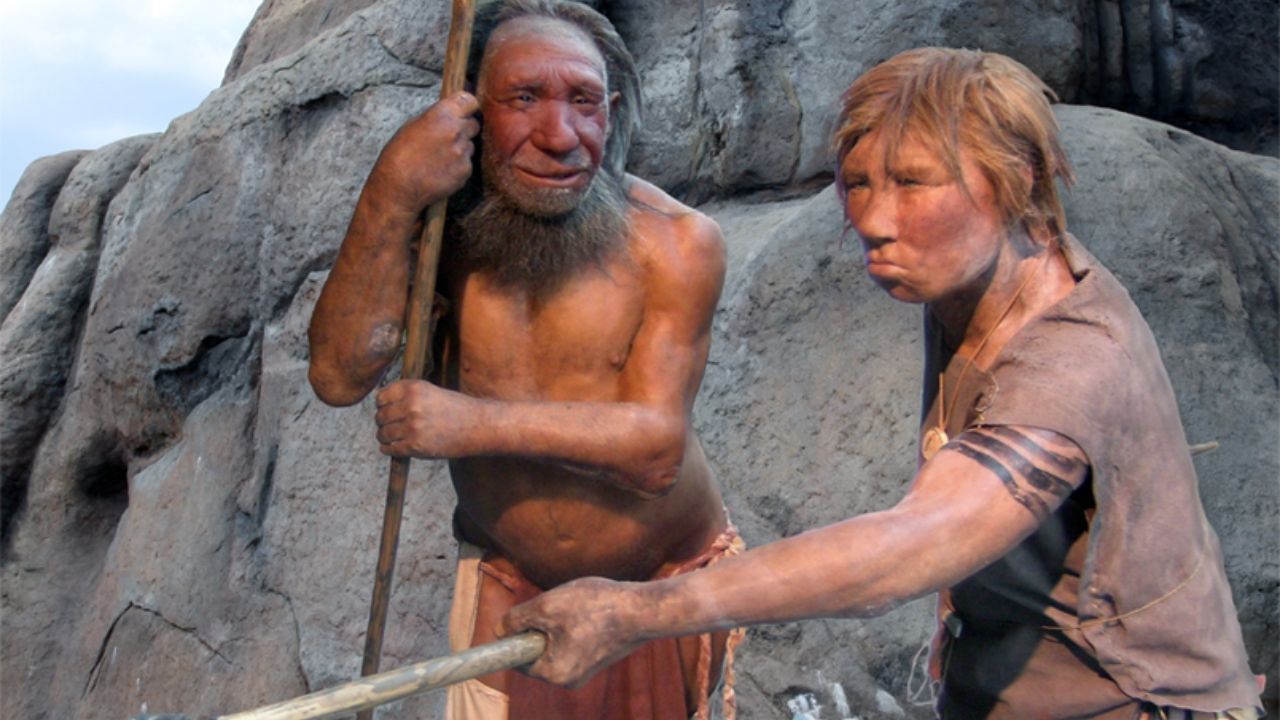 Dente de 80.000 anos é o fóssil neandertal mais antigo já achado na Europa Central