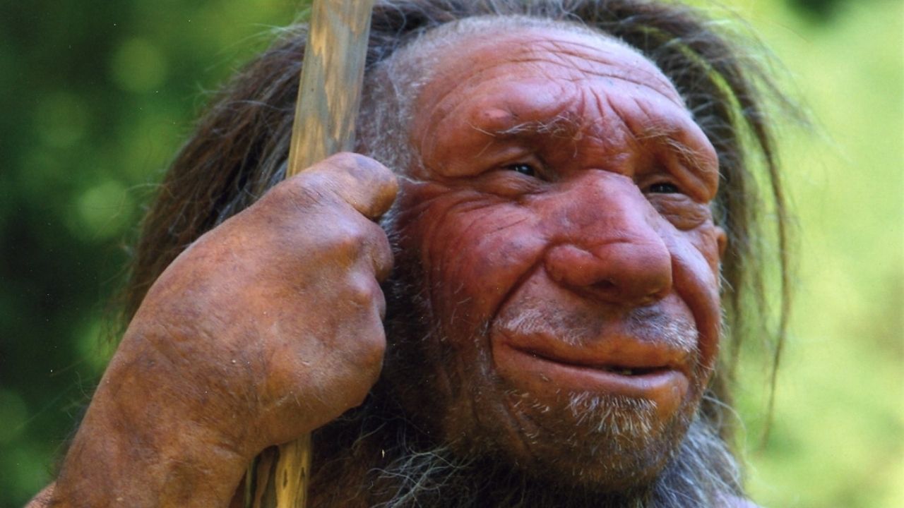 A saga do neandertal que sobreviveu graças a amigos