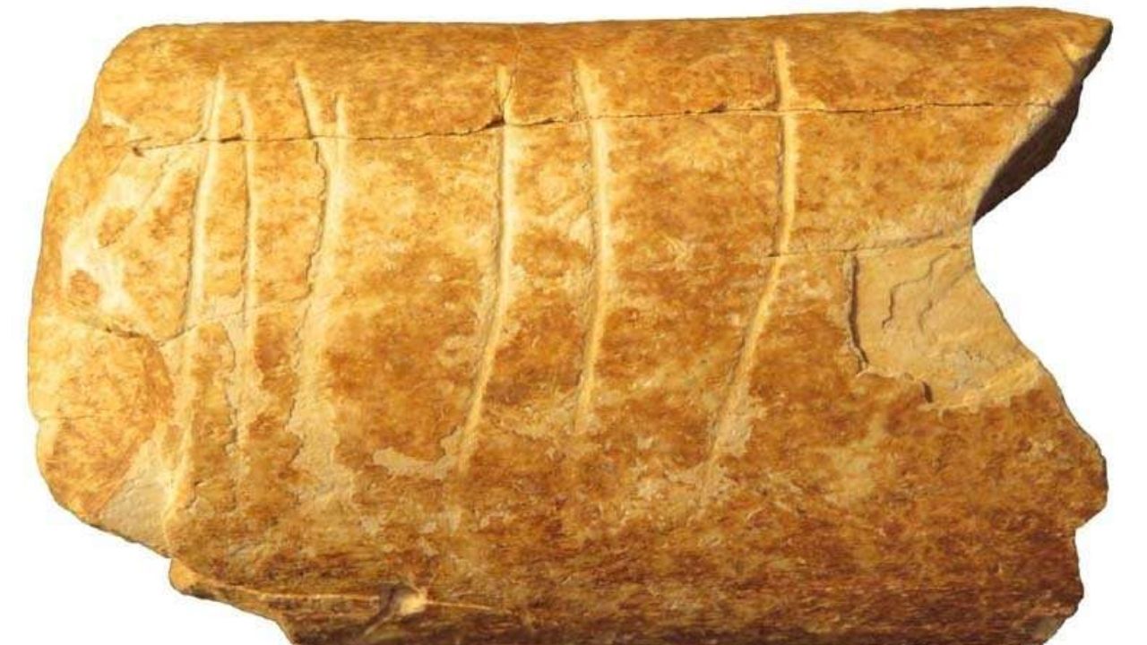 Um dos mais antigos ossos com inscrições simbólicas é encontrado em Israel