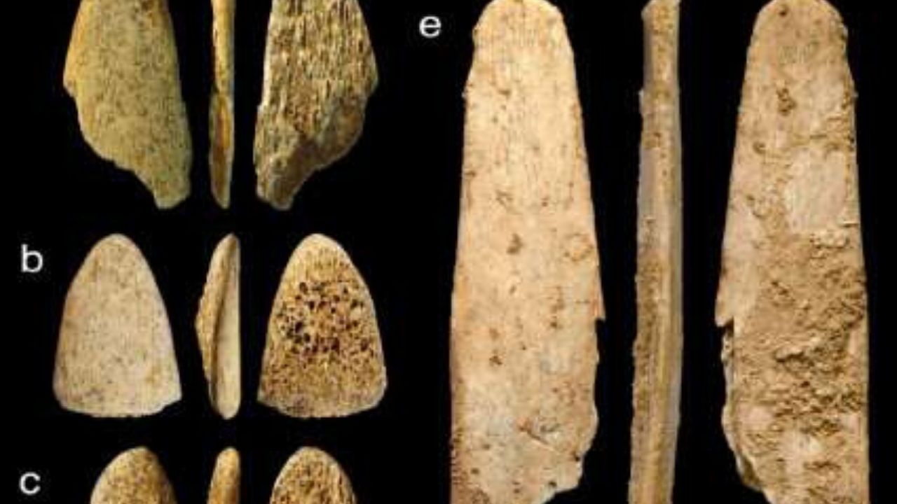 Neandertais eram exigentes na hora de construir ferramentas, revela pesquisa