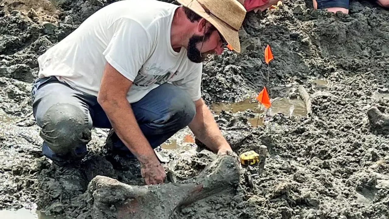 Esqueleto de mastodonte de 12.000 anos é encontrado em Michigan