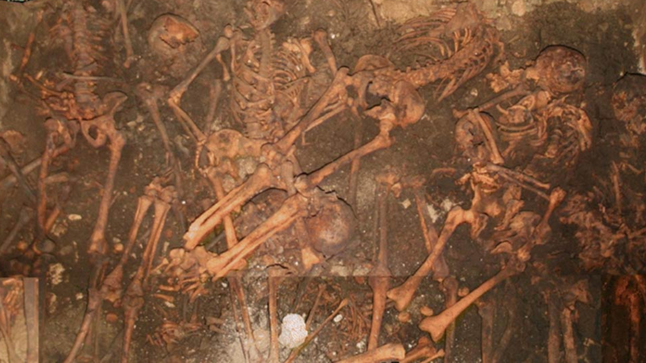 Estudo revela intensa divisão de classes na Europa Medieval