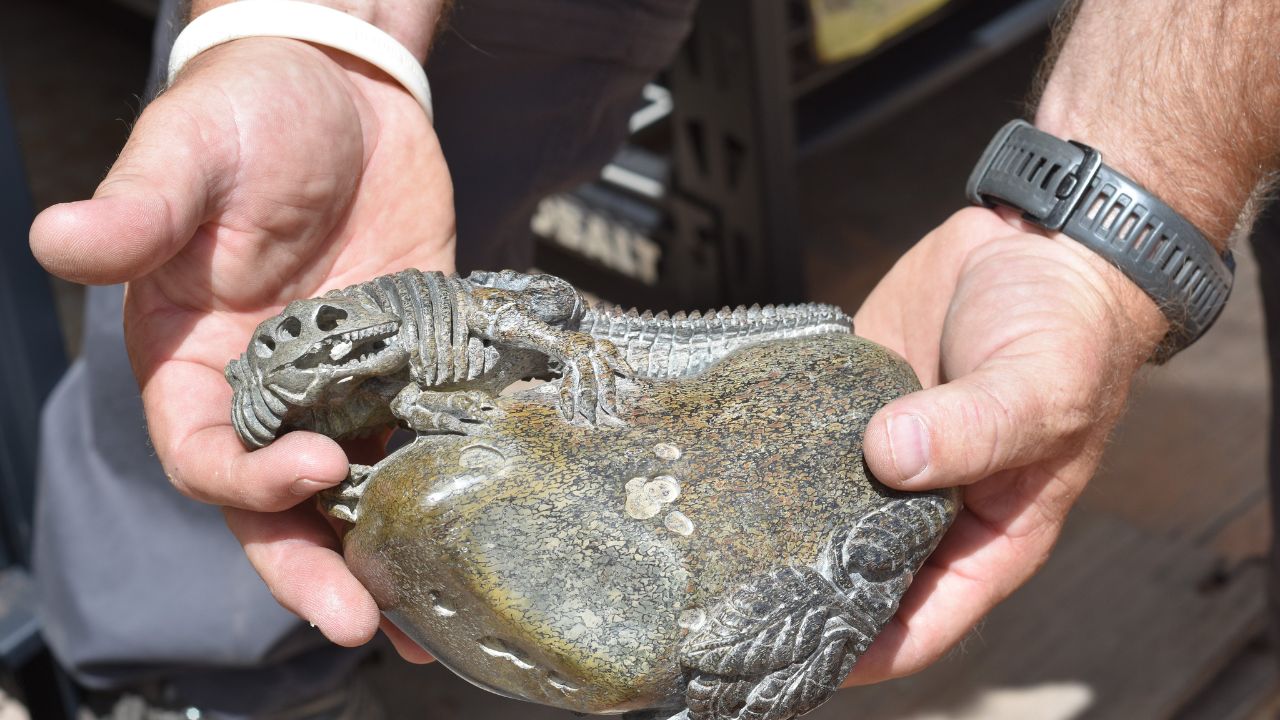 4 pessoas dos EUA são indiciadas por vender ossos de dinossauro para a China