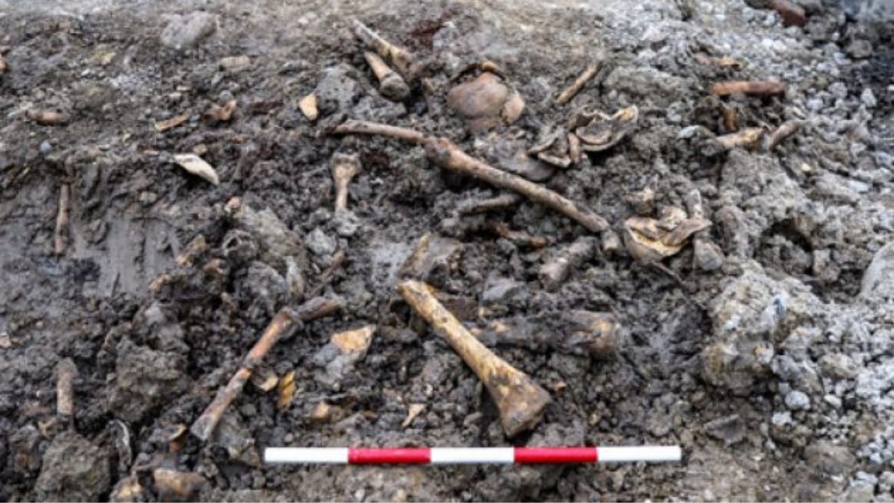 Arqueólogos desenterram ossos humanos durante construção de museu