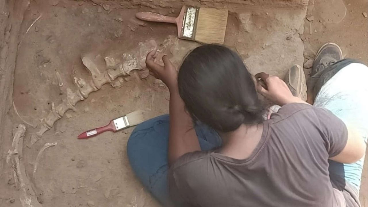 Arqueólogos encontram forno antigo com ossos de animais na Índia