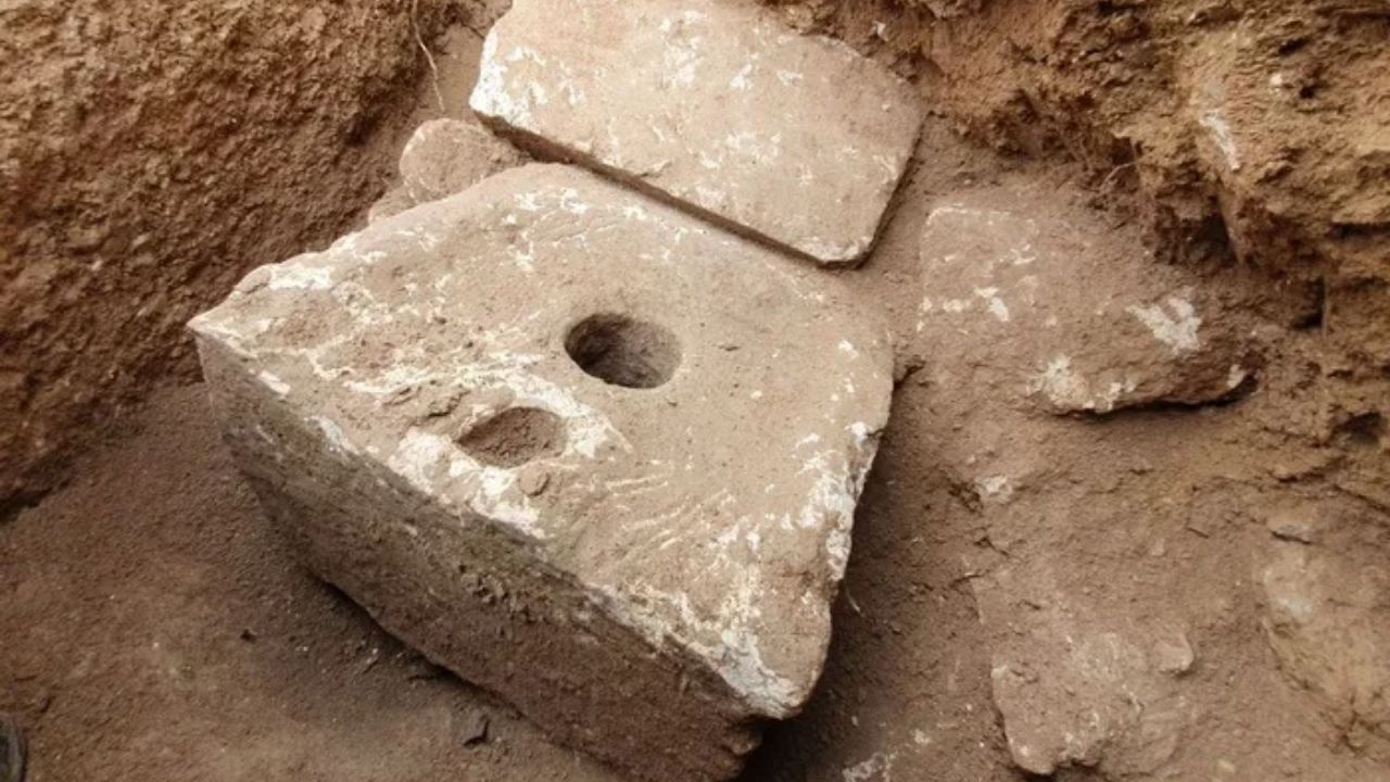 Banheiro de 2 mil anos contém ovos de parasitas intestinais