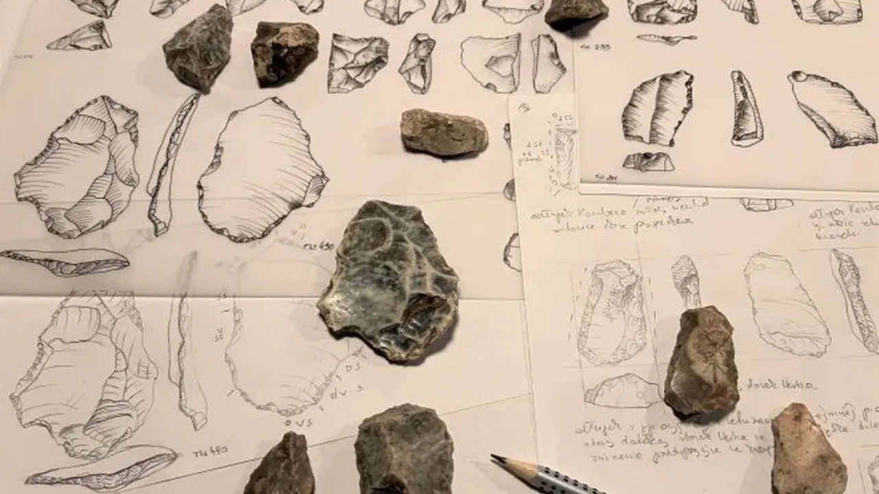 Na Polônia, peças de 500 mil anos feitas por hominídeo extinto são encontradas