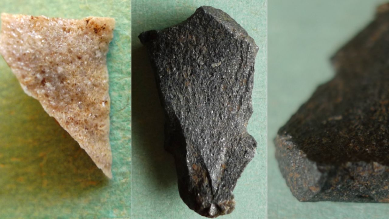 Artefatos de 2.000 anos são encontrados durante reforma em hospital na Austrália