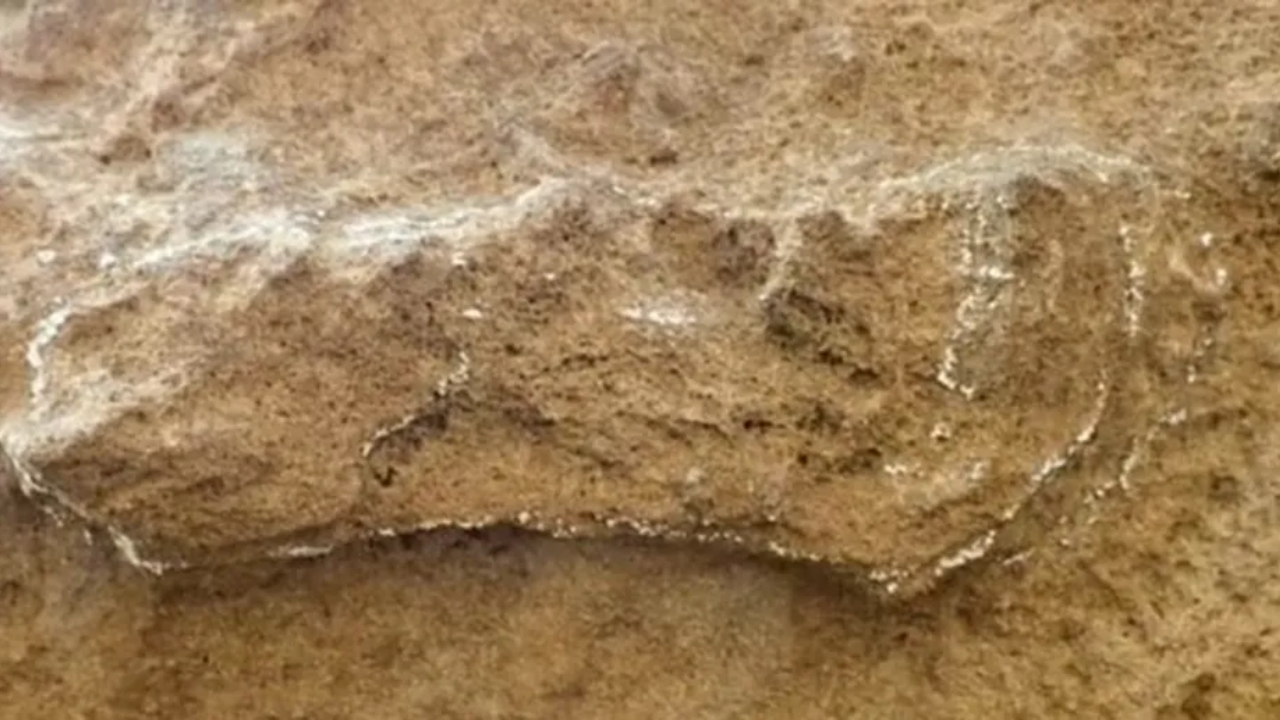 Mais antiga pegada humana é encontrada na África do Sul