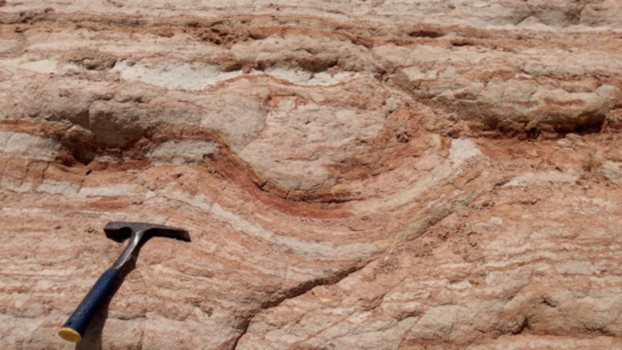 Pegadas descobertas no interior paulista podem ser vestígio mais antigo de dinossauros na região