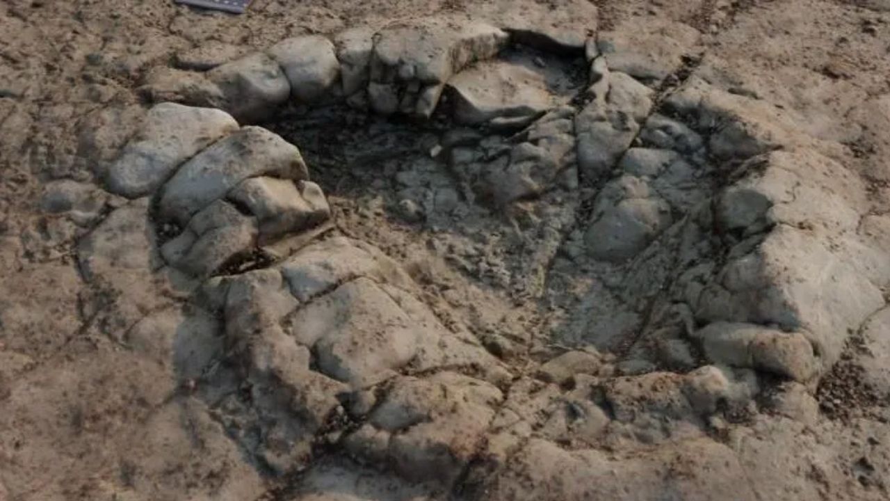 Pesquisa analisa pegadas de dinossauro de 200 milhões de anos