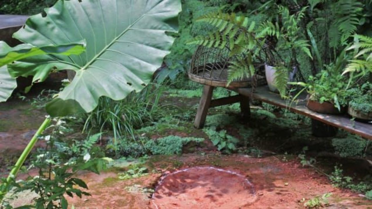 Restaurante chinês escondia pegadas de dinossauros de 100 milhões de anos