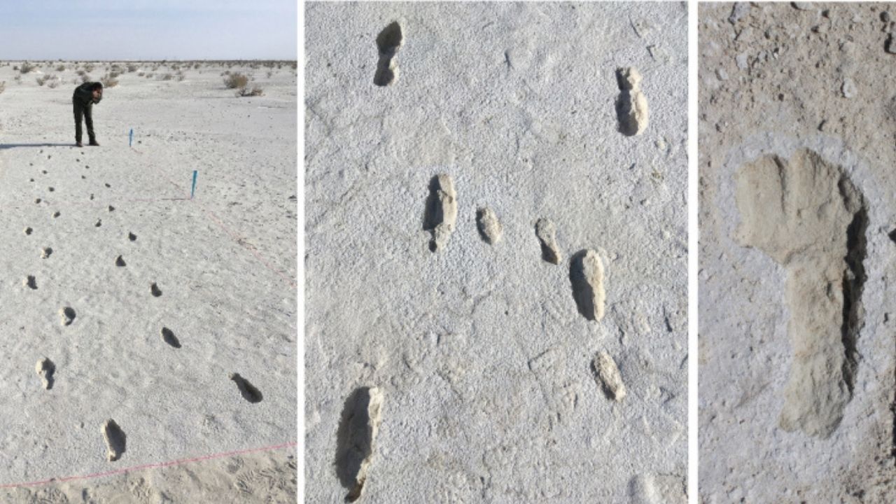 Descoberta trilha de pegadas humanas fossilizadas mais longa do mundo