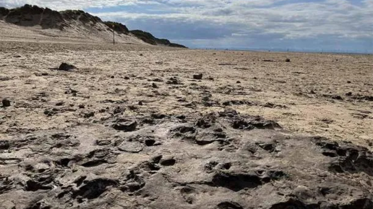 Pegadas incomuns de 9 mil anos são encontradas em praia britânica