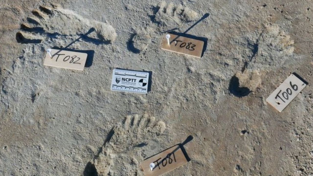 Pesquisadores encontram evidências de presença humana nas Américas 7 mil anos antes do que se pensava