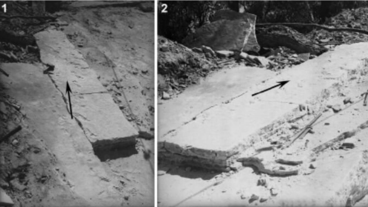 Após 80 anos, pegadas enigmáticas finalmente são identificadas na Austrália