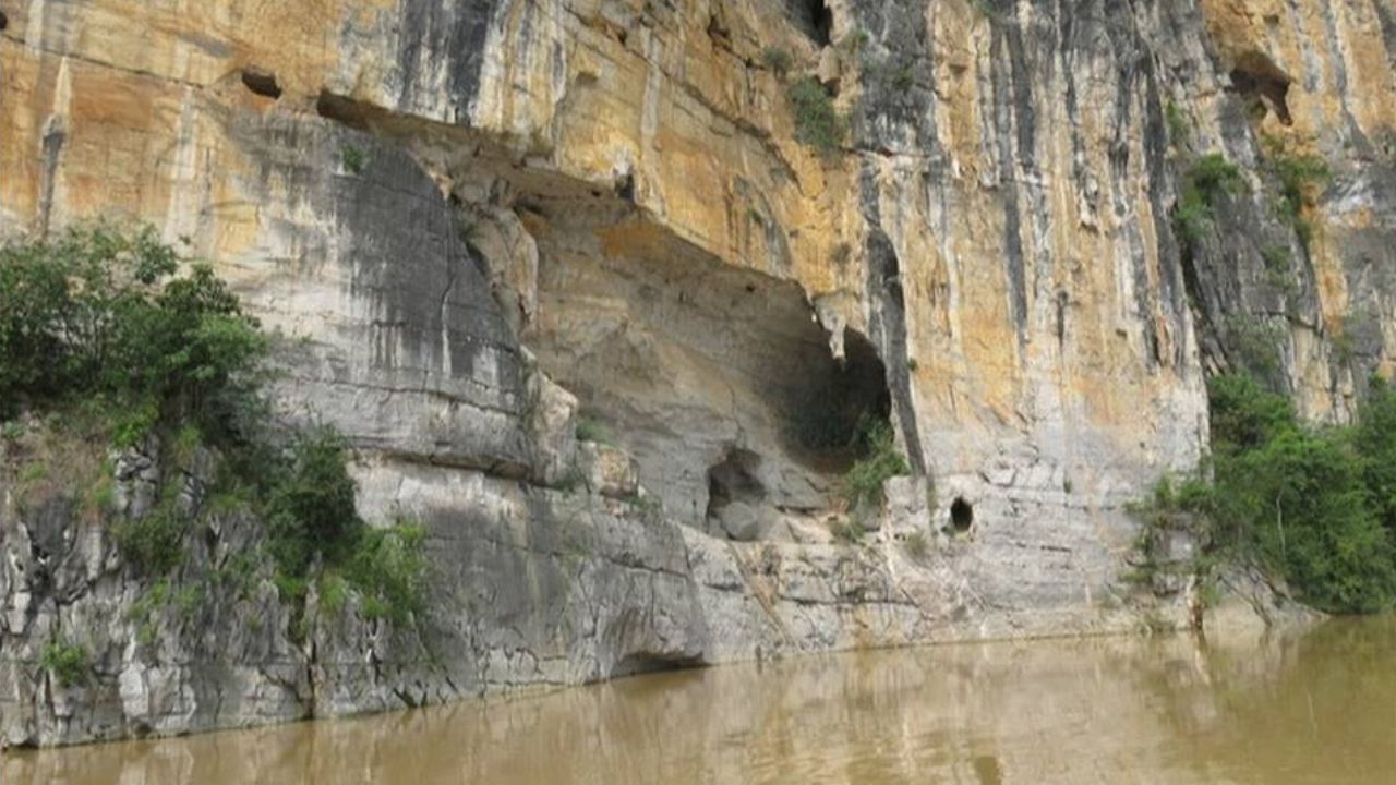 Píton de 4,5 metros cozinhada por humanos há 6 mil anos é descoberta na China