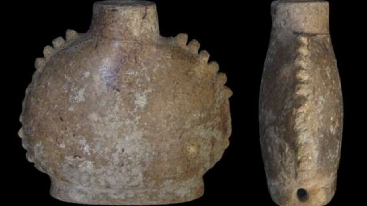 Cientistas encontram planta alucinógena em recipientes dos antigos Maias