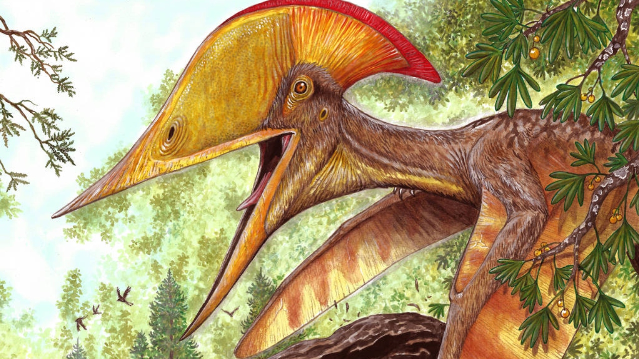 Pesquisas sino-brasileiras descobrem nova espécie de dinossauro