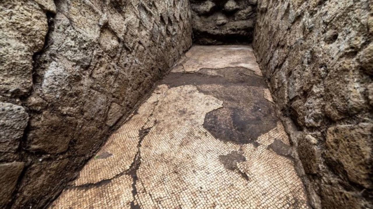 Mosaico refinado é descoberto em bairro de elite da Roma Antiga