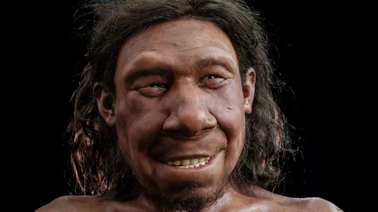 Estudo investiga cruzamento entre humanos e Neandertais