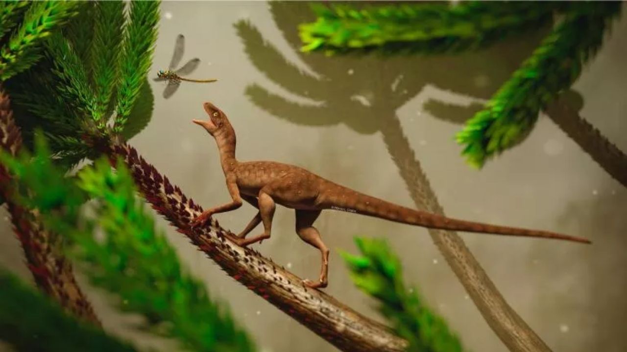 Cientistas descobrem fóssil de réptil de 225 milhões de anos no Rio Grande do Sul