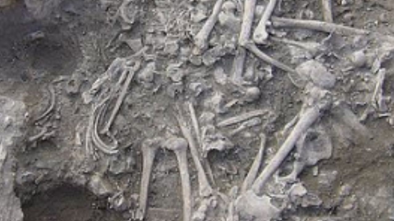 Sepultura coletiva de soldados é descoberta no Líbano