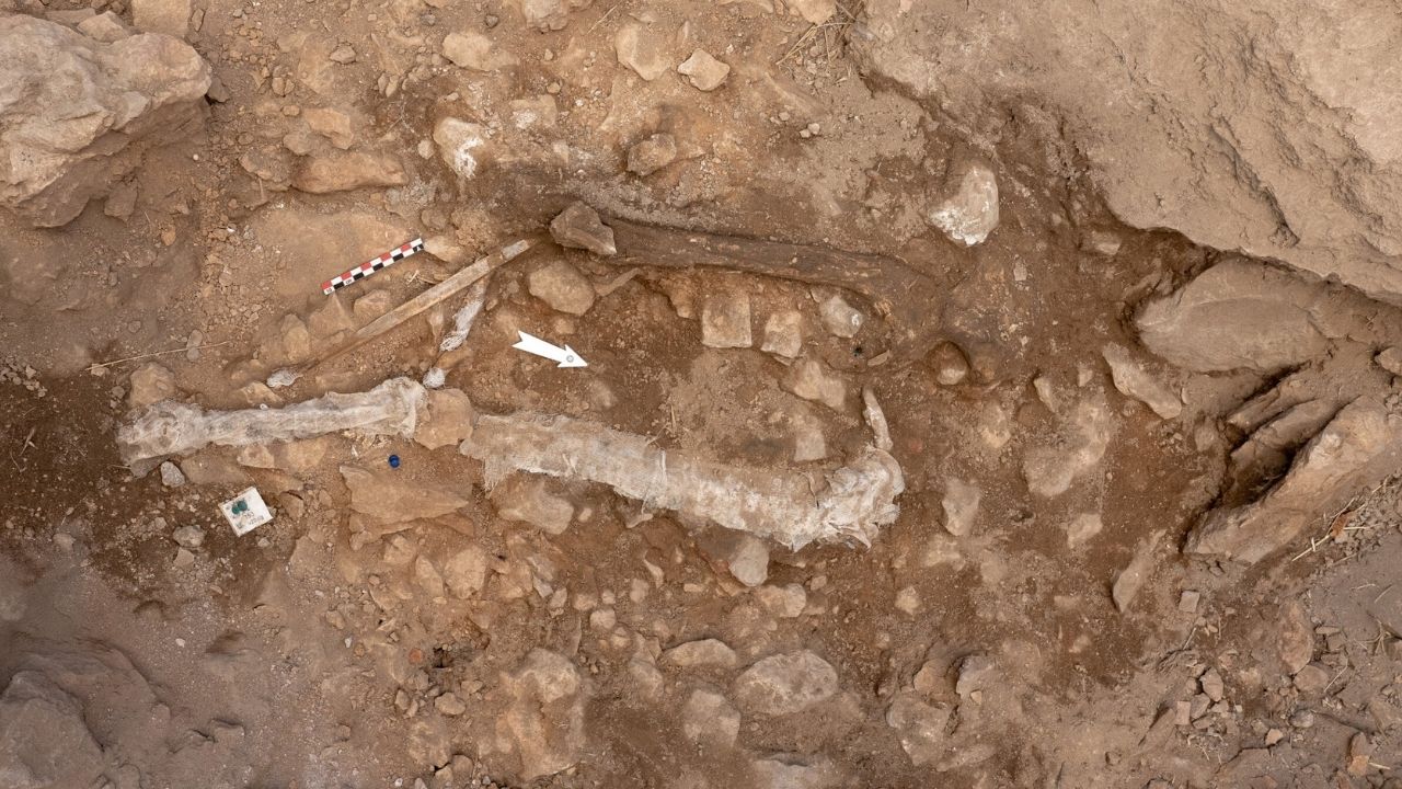 Restos de 14 mil anos e pioneirismo dos babilônios: 6 descobertas surpreendentes da última semana