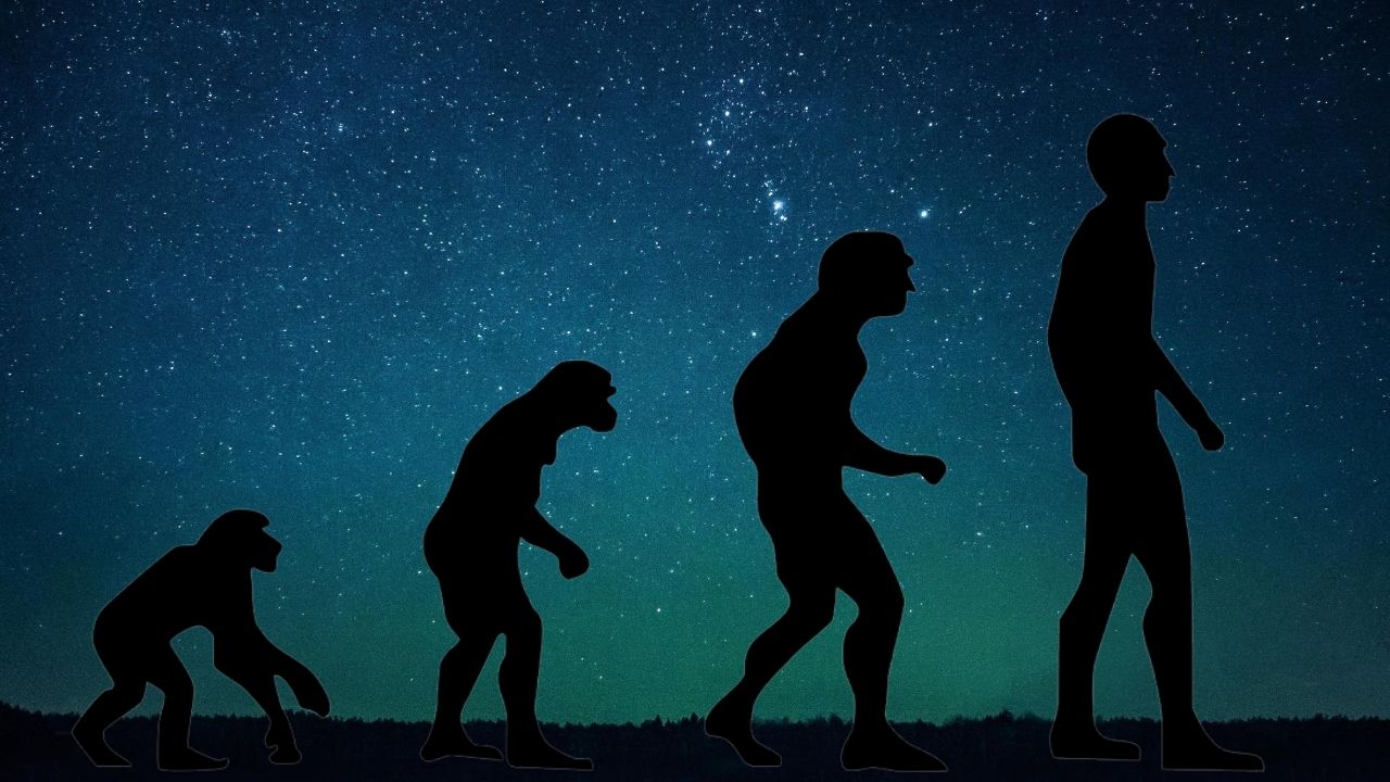 De primatas comuns a seres racionais: obra retrata a emblemática evolução humana
