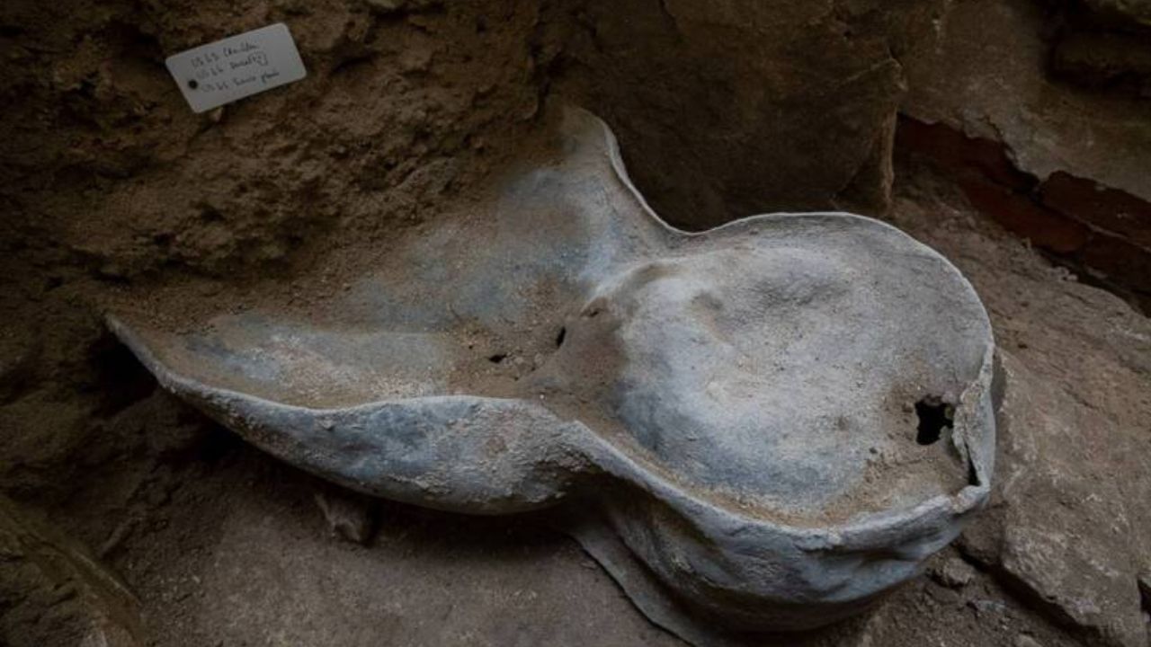 Sarcófago é encontrado sob piso da Catedral de Notre-Dame