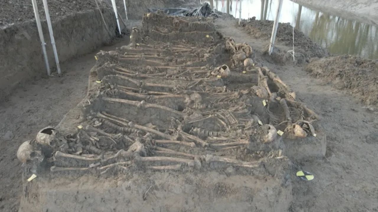 Pesquisadores encontram sepultura coletiva de 80 soldados britânicos que morreram há 200 anos na Holanda