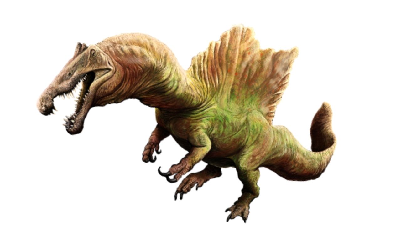 Evidências sugerem que dinossauro representado em Jurassic Park era um predador marinho