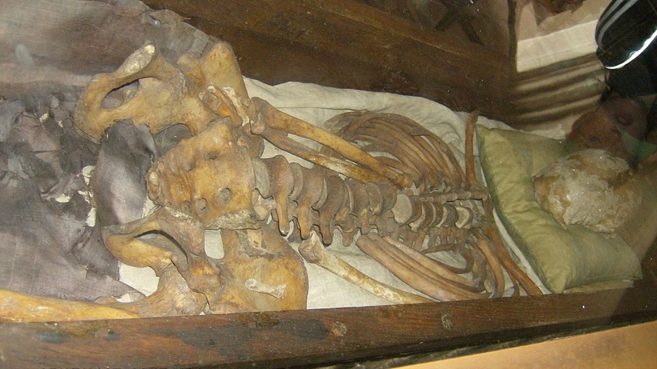 Pesquisa faz revelação curiosa sobre restos de monarca assassinado em 1086