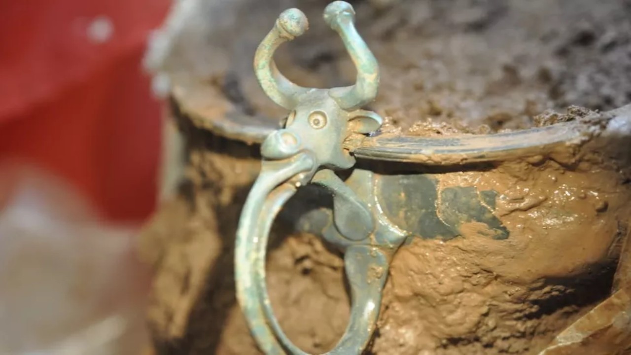 Tigela romana com cabeça de boi pode ter revelado assentamento romano antigo
