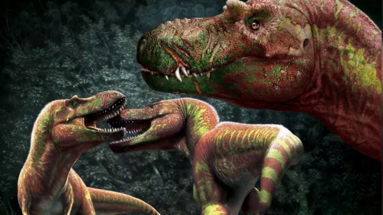 Estudo aponta que tiranossauros tinham brigas violentas que envolviam mordidas no rosto