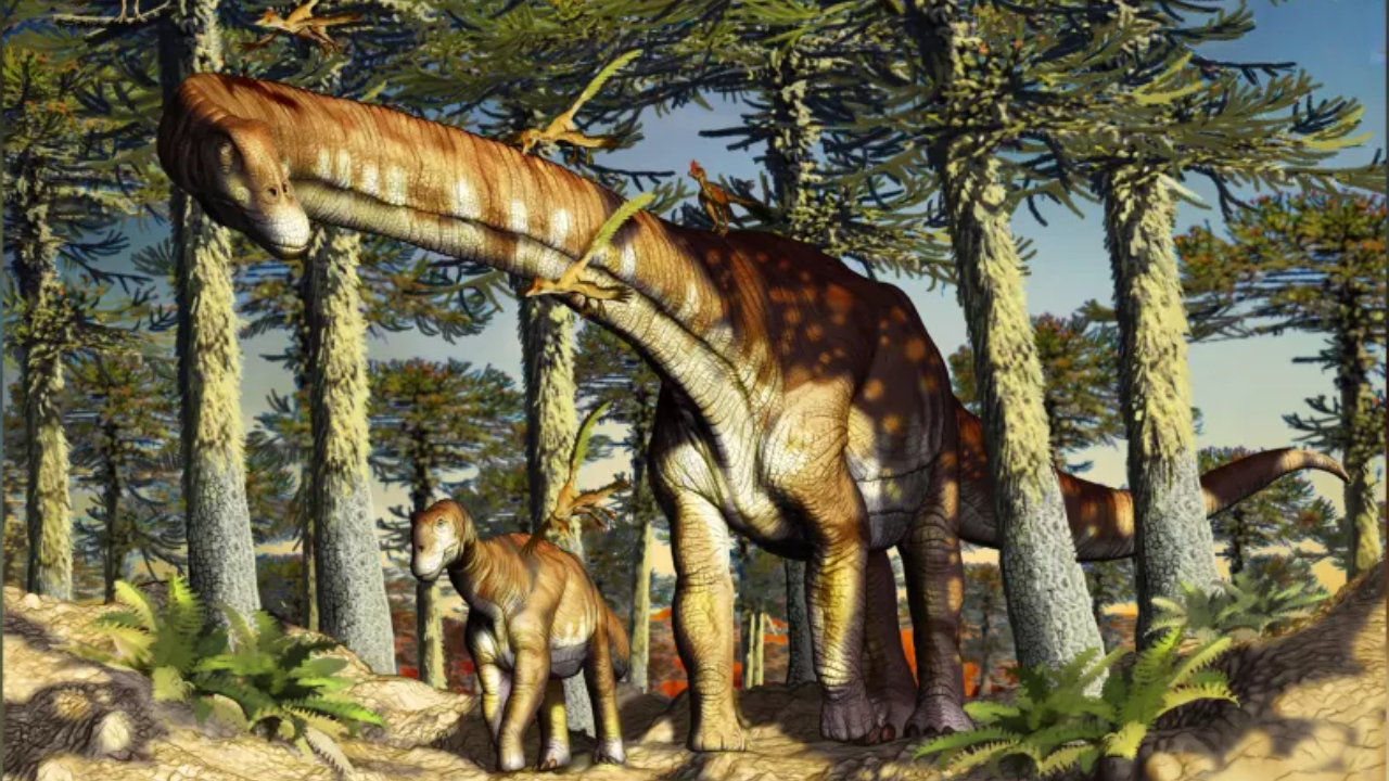 Cientistas identificam dinossauro de 140 milhões de anos na Patagônia